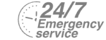 24/7 Emergency Service Pest Control in Hampton Hill, Hampton, TW12. Call Now! 020 8166 9746